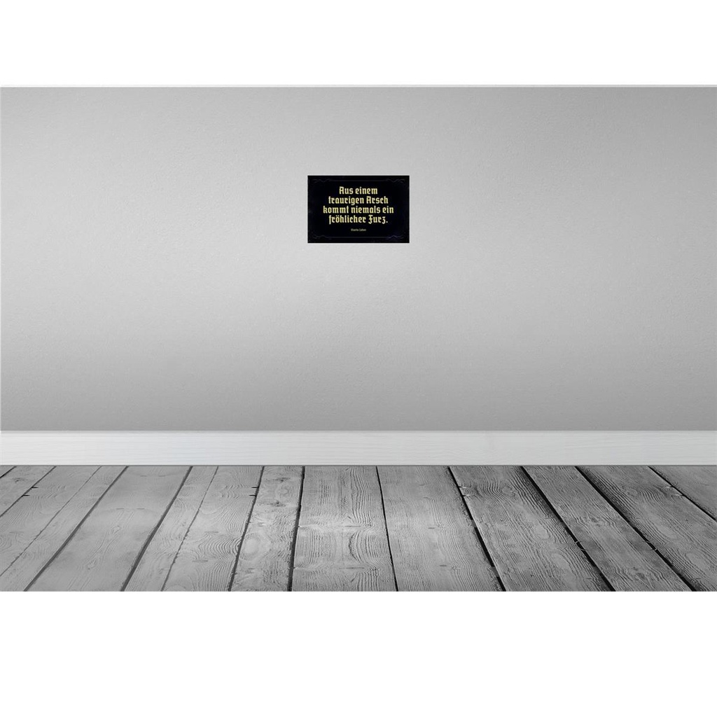 [LA-113964-2030] Blechschild 20x30 cm aus einem traurigen Arsch kommt Spruch Zitat Bild 2