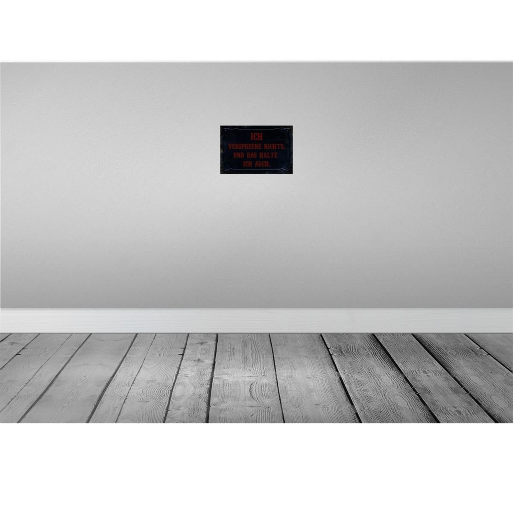 [LA-113977-2030] Blechschild 20x30 cm verspreche nichts das halte auch Spruch Zitat Bild 2