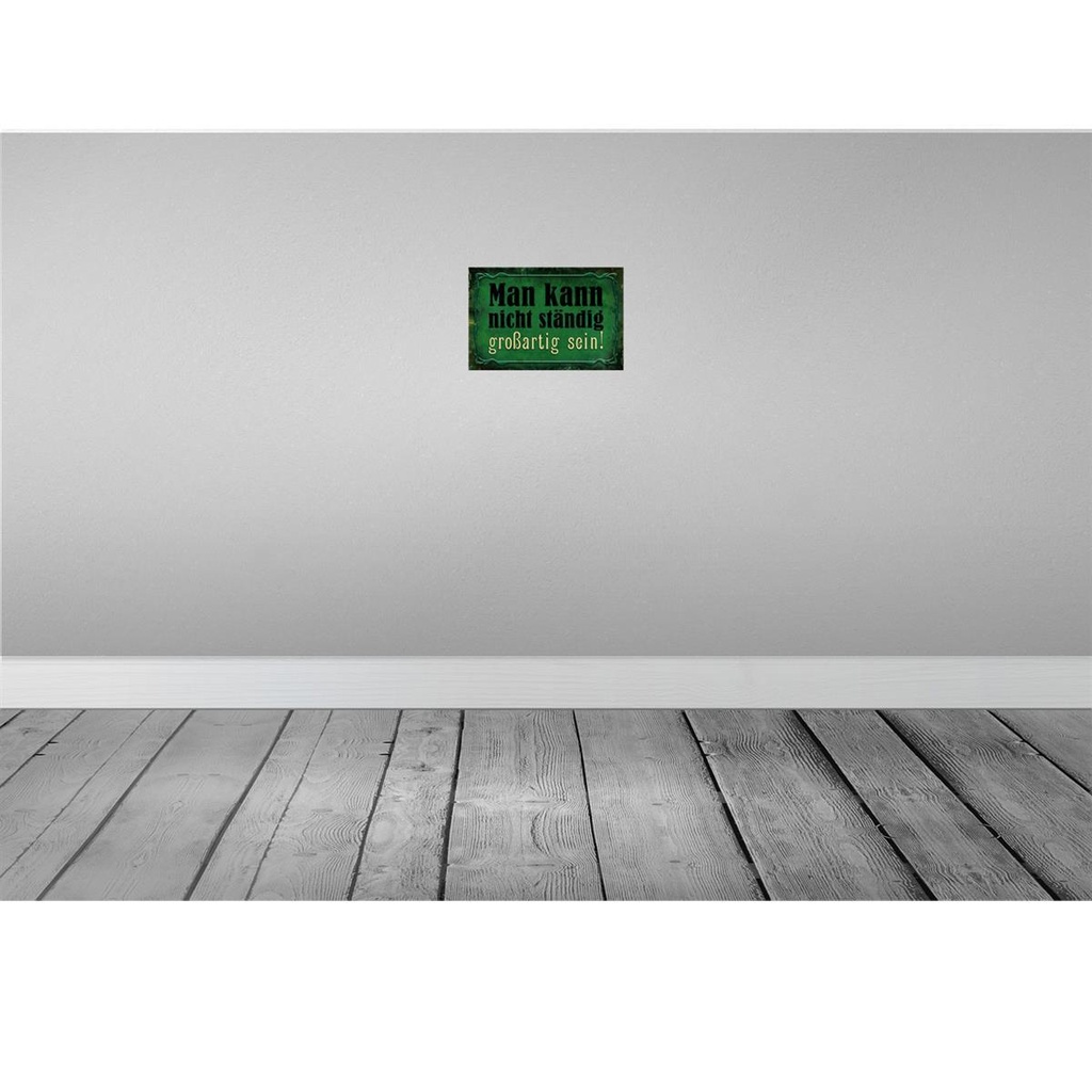 [LA-113981-2030] Blechschild 20x30 cm nicht ständig großartig sein Dekoration Spruch Zitat Bild 2