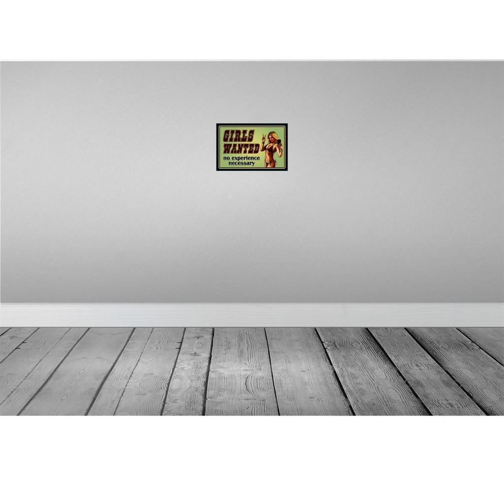 [LA-114052-2030] Blechschild 20x30 cm Pinup Girls wanted no experience Pin Up Bild 2