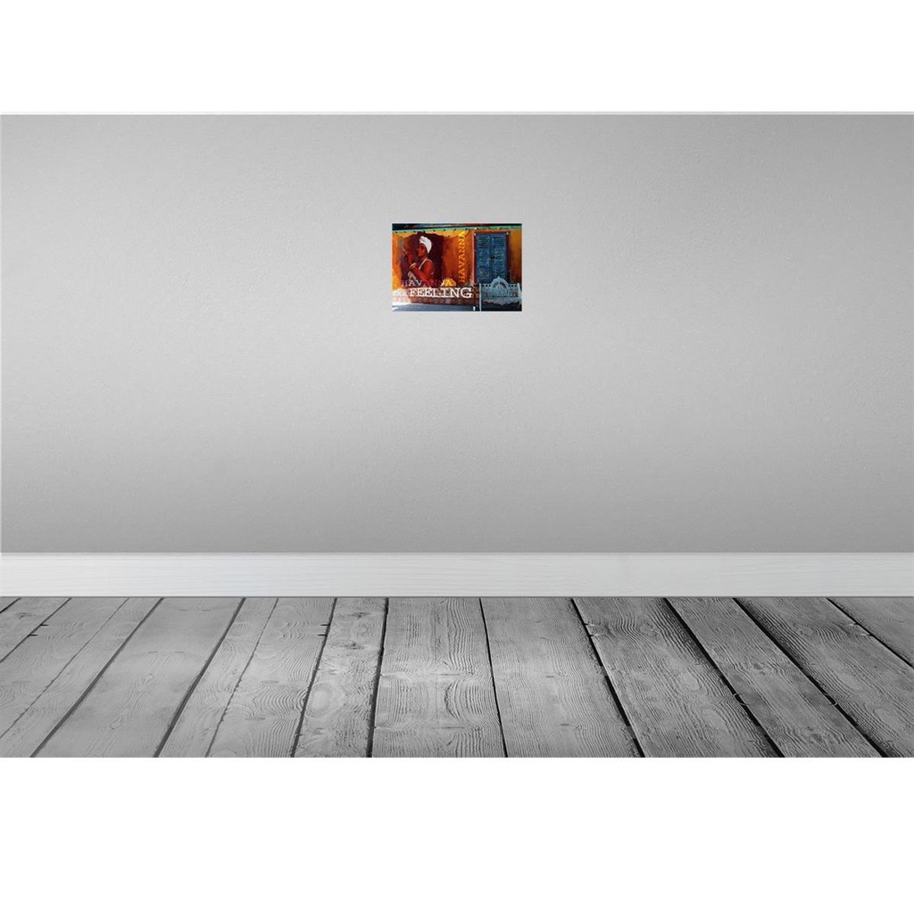 [LA-114162-2030] Blechschild 20x30 cm Havanna Feeling Frau mit Zigarre Männer Frauen Spruch Zitat Bild 2
