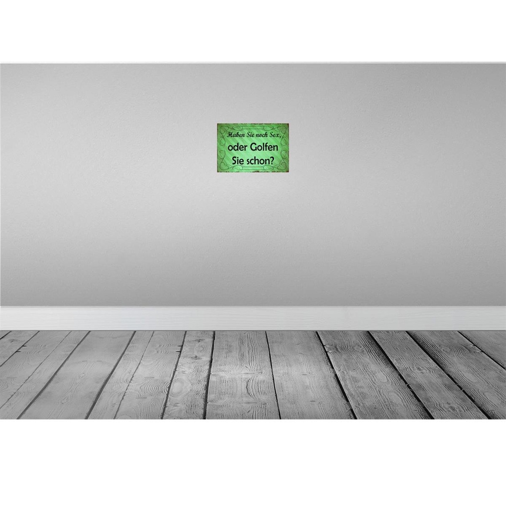 [LA-114209-2030] Blechschild 20x30 cm Haben Sie noch Sex oder golfen Dekoration Spruch Zitat Bild 2