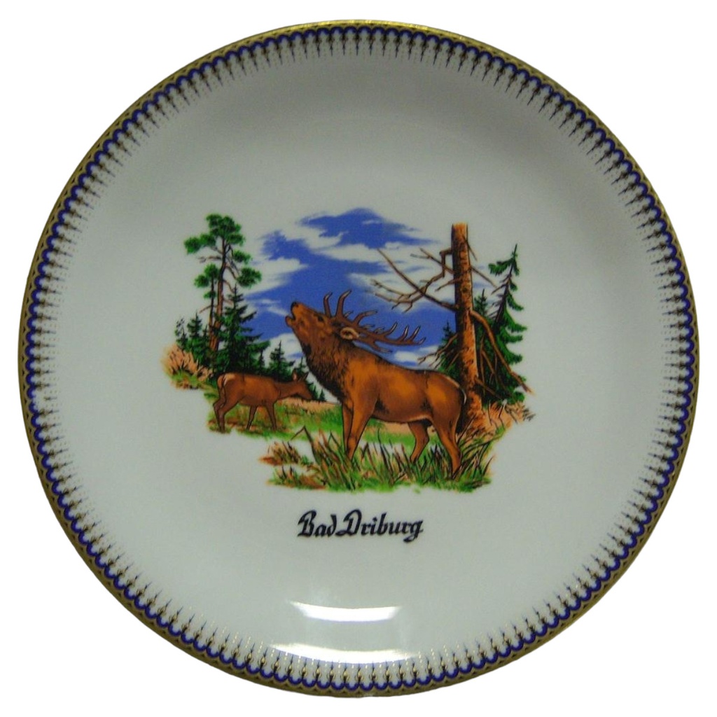 Johann Seltmann Vohenstrauss Wandteller Bad Driburg D 24,2 cm