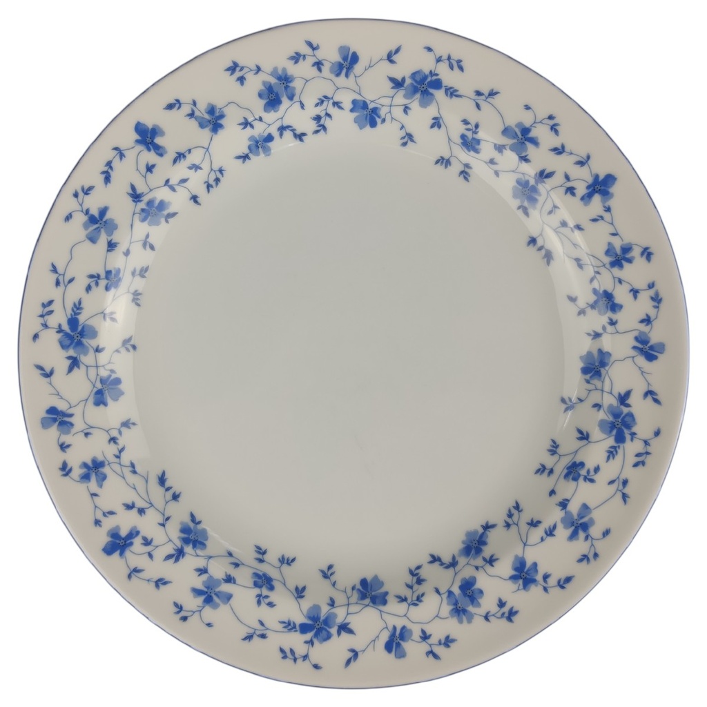 [1806325] Kuchenteller Dessertteller Frühstücksteller 19,3 cm Arzberg Form 1382 Blaublüten gebraucht - sehr gut