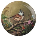 Wandteller 19,8 cm Tirschenreuth Unsere kleine Vogelwelt Haubenmeise im Unterholz gebraucht - neuwertig
