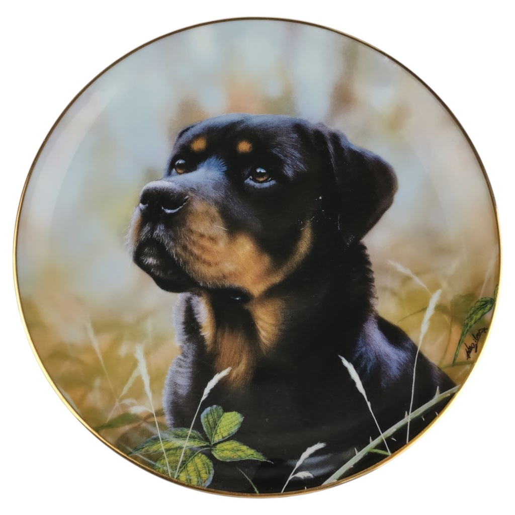 [1818371] Wandteller Sammler Factum Ein verlässlicher Freund Rottweiler John Silver
