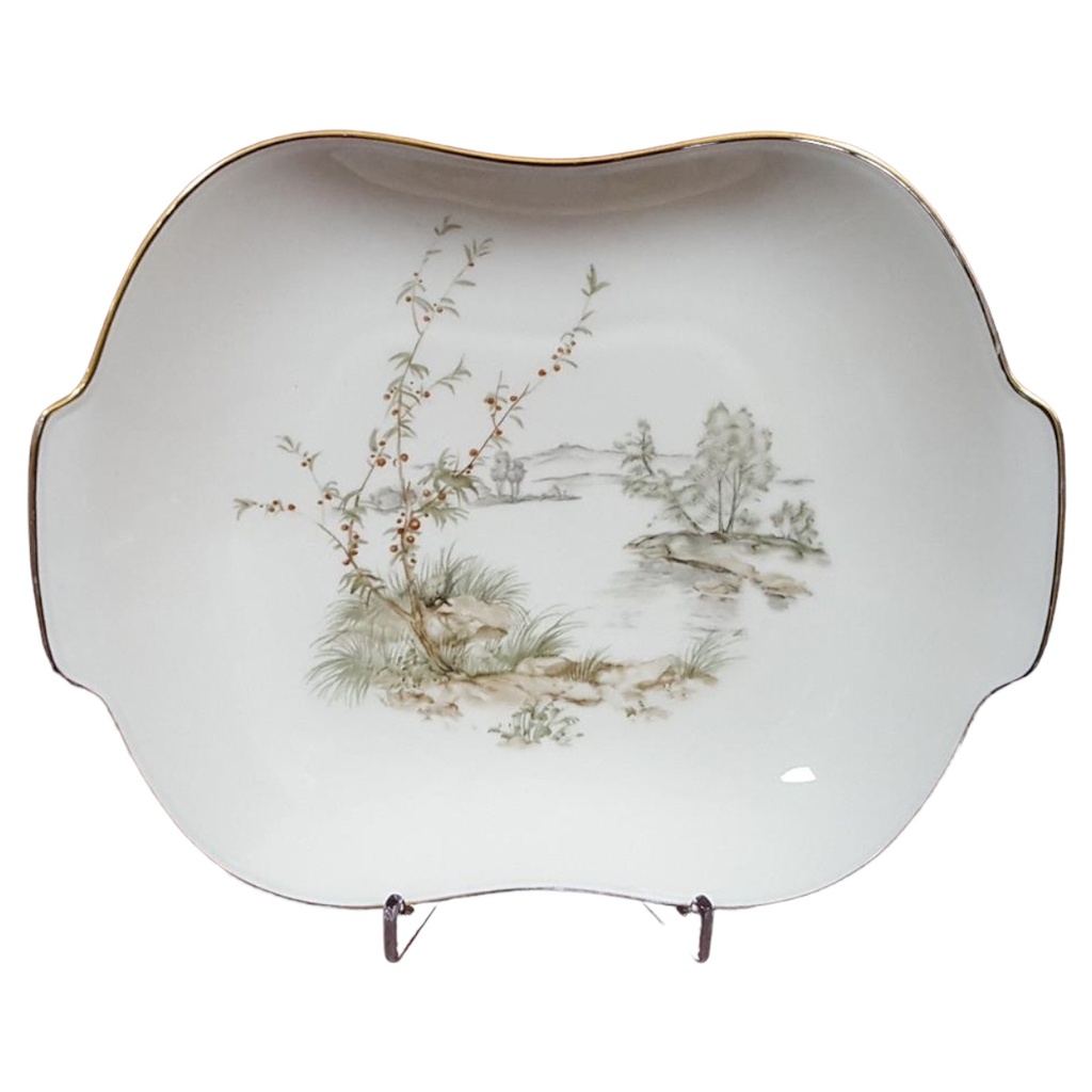 Seltmann Weiden Bavaria Schale mit Goldrand 24,1 cmx18 cm