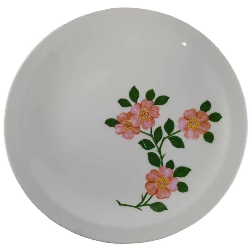 [45812577] Kuchenteller Dessertteller Frühstücksteller 20 cm Bareuther Waldsassen Rosa Blüten gebraucht - akzeptabel