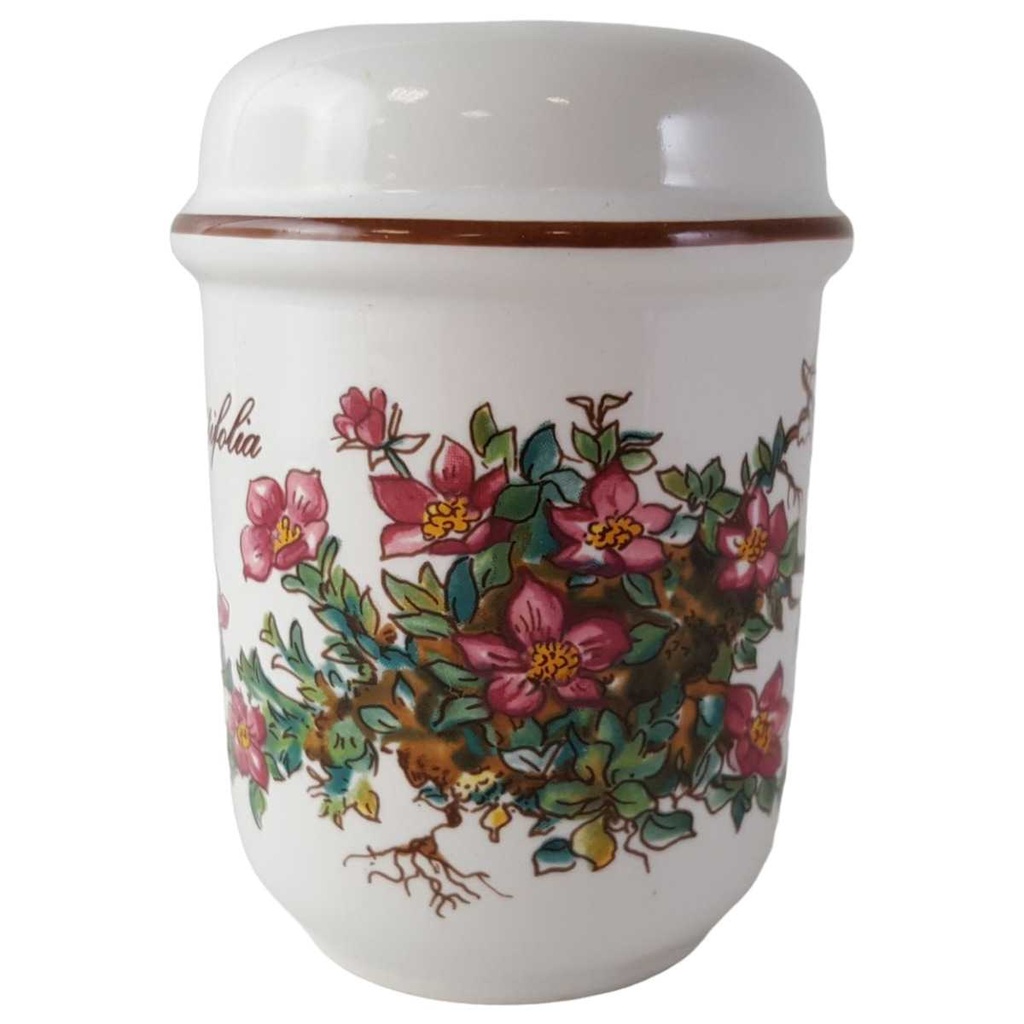 [45812971] Salzstreuer Villeroy & Boch Botanica gebraucht - sehr gut