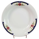 Suppenteller 22,7 cm Mitterteich Form 890 blau grün rot Blumendekor Blumen