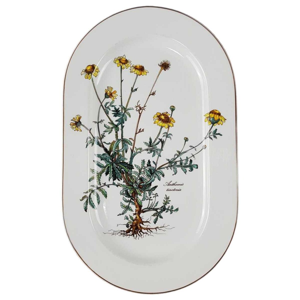 Fleischplatte 33,2x22,4 cm Villeroy & Boch Botanica gebraucht - gut