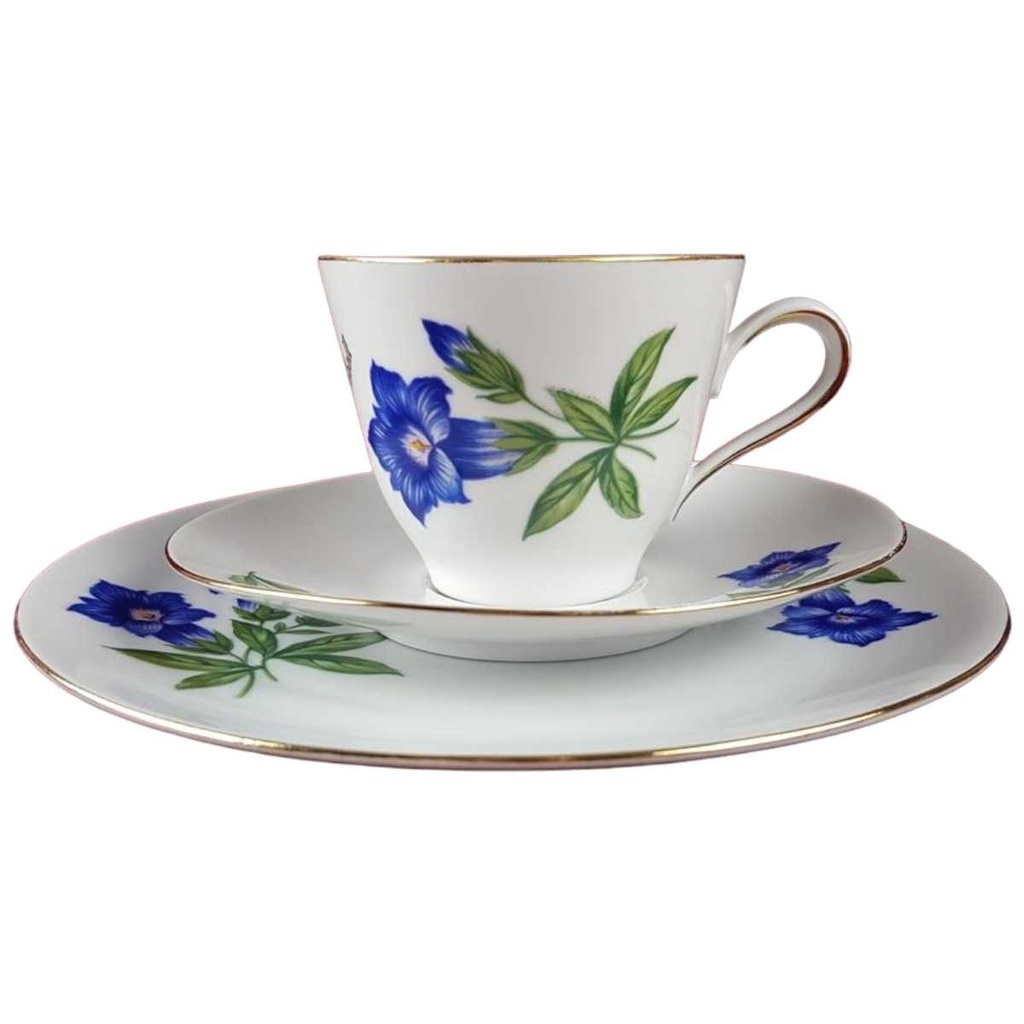 Kaffeetasse Kaffeegedeck Kaffeeset Komplett Goldrand Bareuther gebraucht - gut