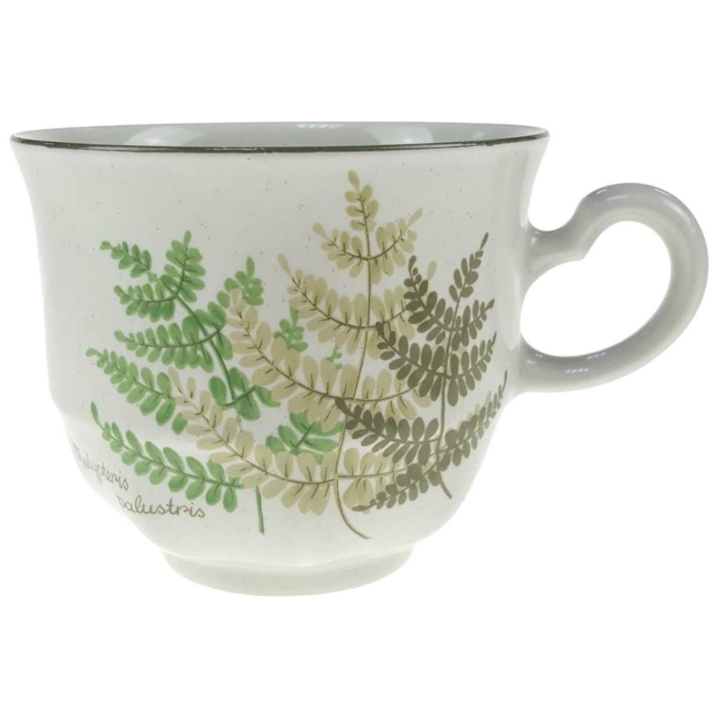 Kaffeetasse Winterling Kirchenlamitz Farn Thelypteris palustris gebraucht - gut