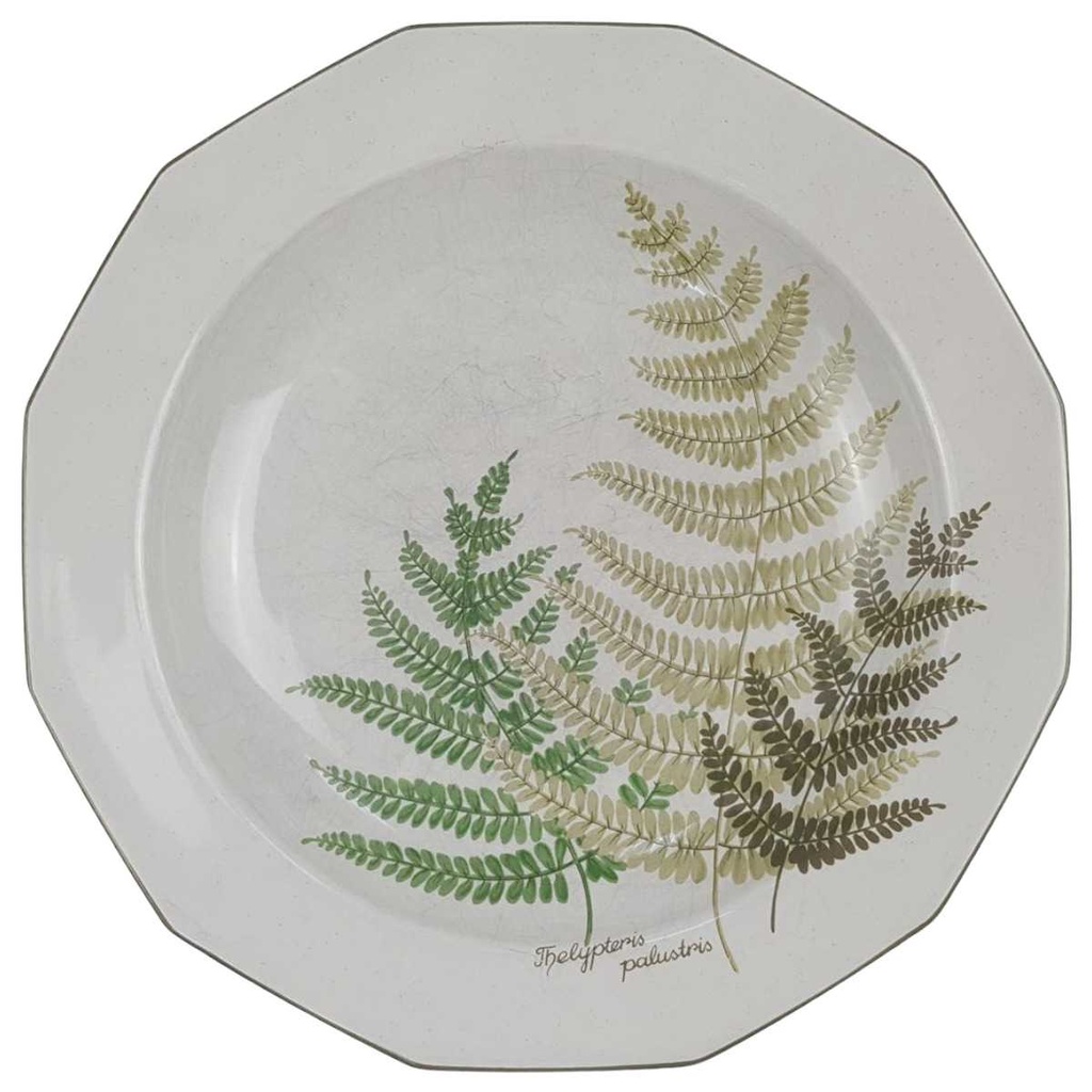 Suppenteller 22,5 cm Winterling Kirchenlamitz Farn Thelypteris palustris gebraucht - gut