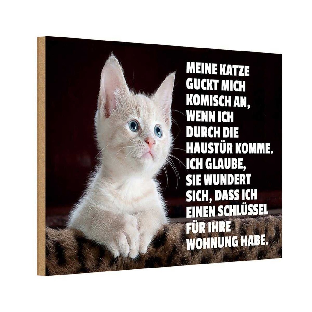 Holzschild 12x18 cm Katze guckt mich komisch an Tier Haustier