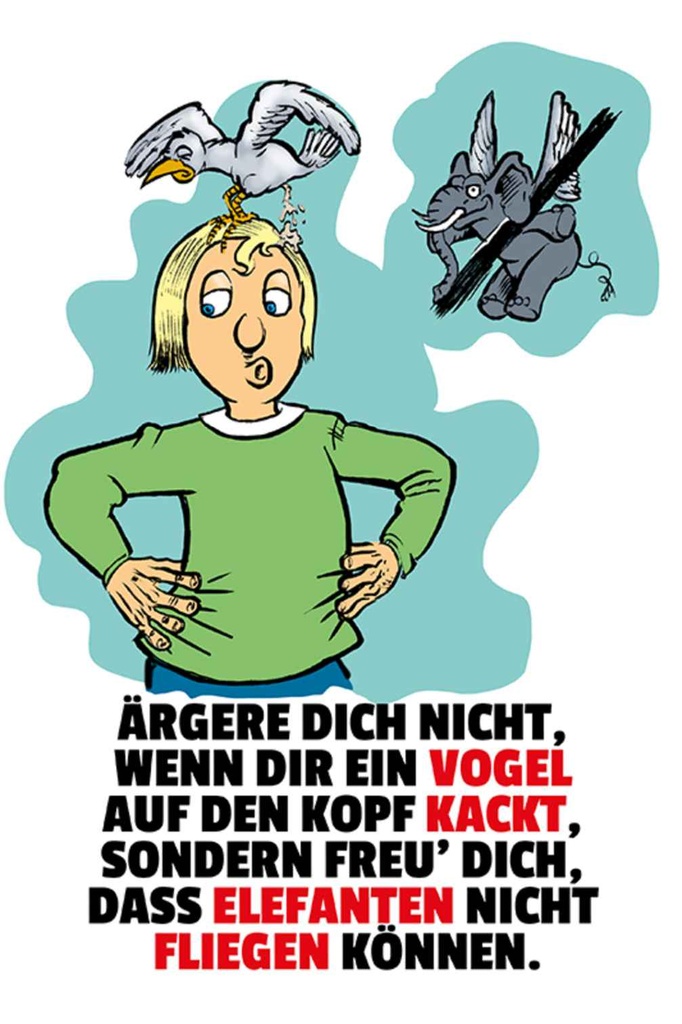 Holzschild 18x12 cm Freu dich Elefanten nicht fliegen Spruch Zitat