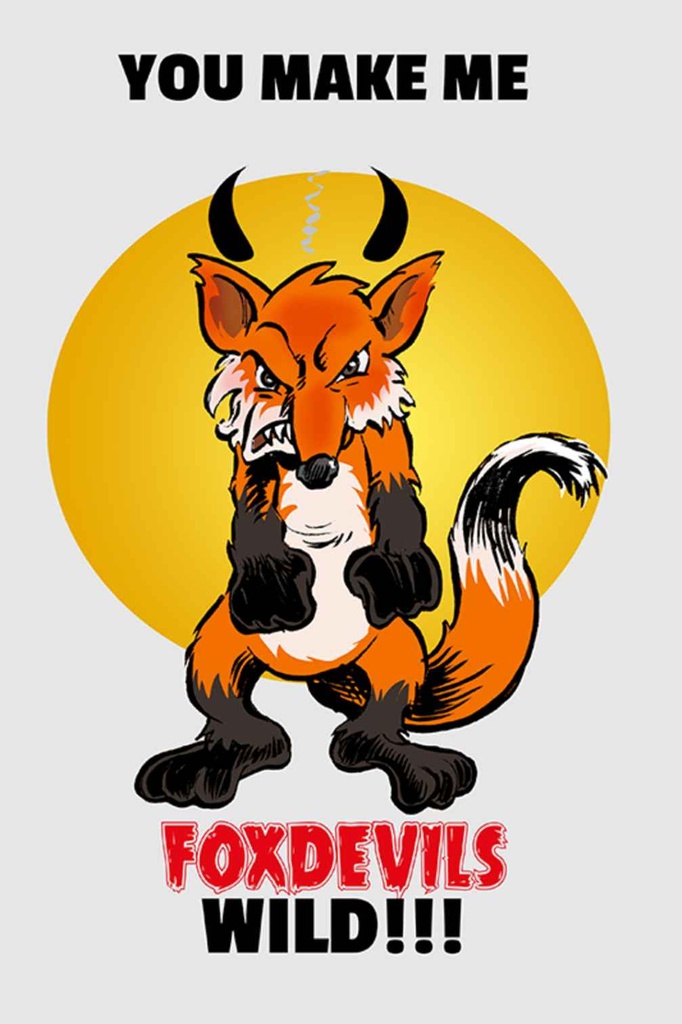 Holzschild 18x12 cm You make me foxdevils wild Fuchs Spruch Zitat