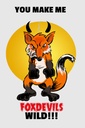 Holzschild 18x12 cm You make me foxdevils wild Fuchs Spruch Zitat