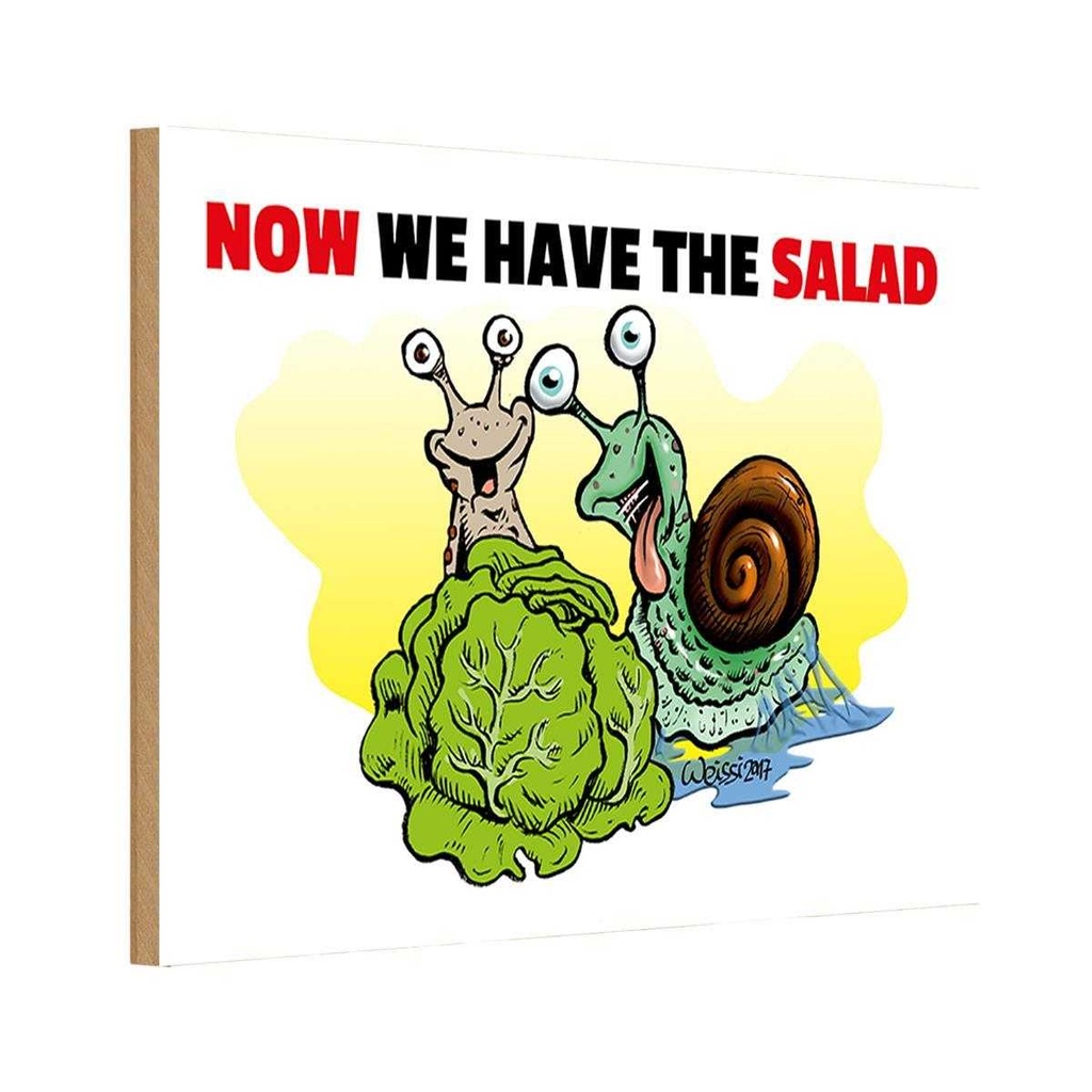 Holzschild 12x18 cm Now we have the salad Schnecken Spruch Zitat