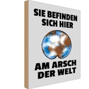 Holzschild 18x12 cm Sie befinden sich am Arsch ld Dekoration