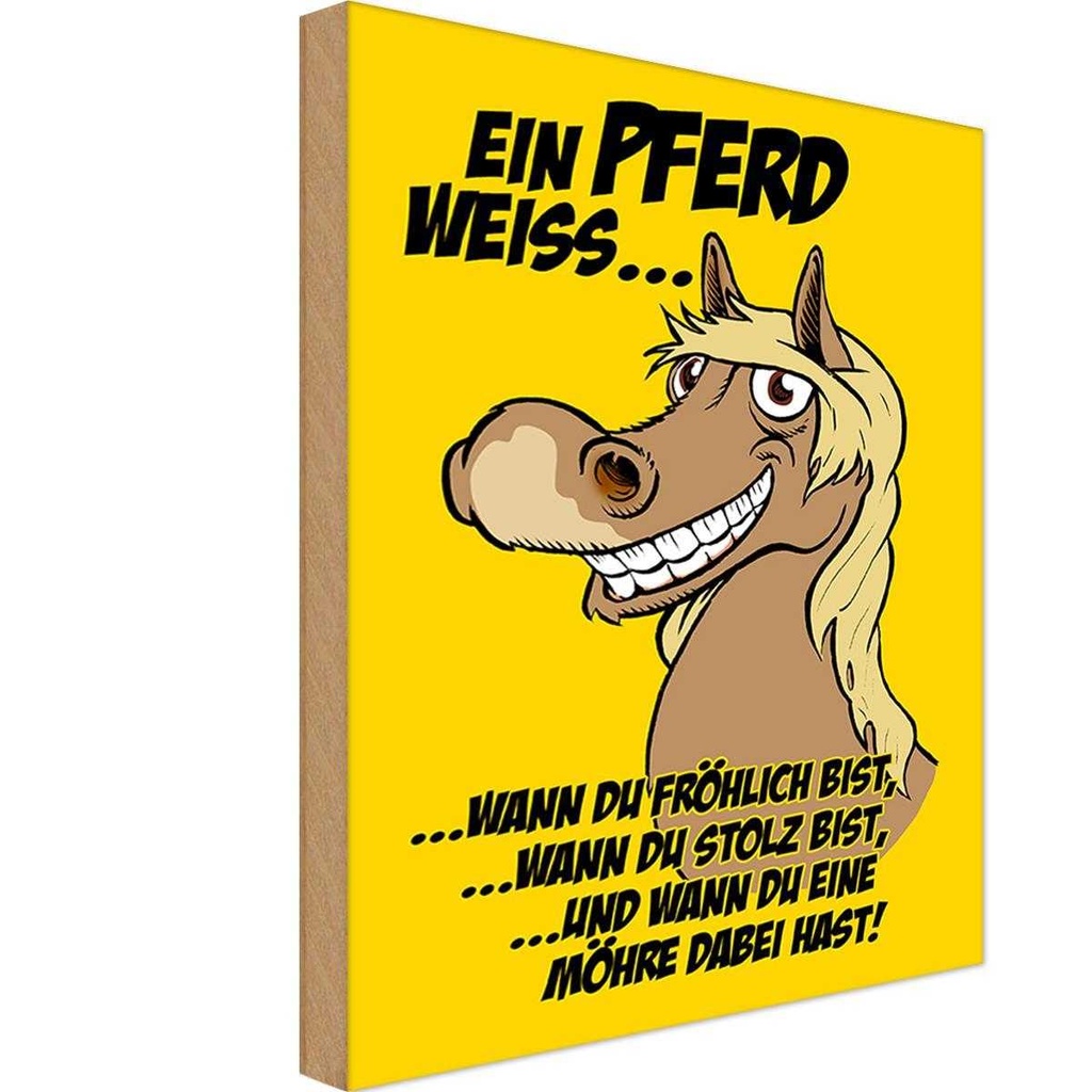 Holzschild 18x12 cm Ein Pferd weiss wann fröhlich Tier Haustier