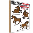 Holzschild 18x12 cm bitte nicht füttern Pferd krank