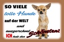 Holzschild 12x18 cm ich hab den schönsten Hund Tier Haustier