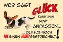 Holzschild 12x18 cm Hund wer sagt Glück kann nicht Tier Haustier