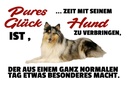 Holzschild 12x18 cm Pures Glück Zeit mit seinem Hund Tier Haustier