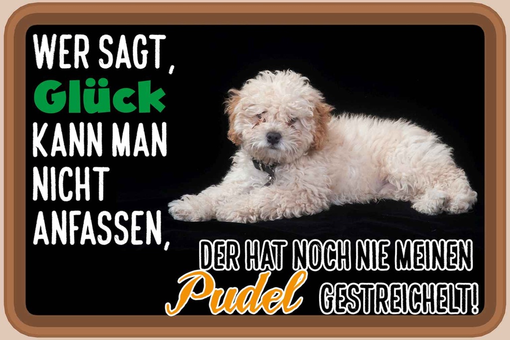 Holzschild 12x18 cm Glück nicht anfassen Pudel Hund Spruch Zitat