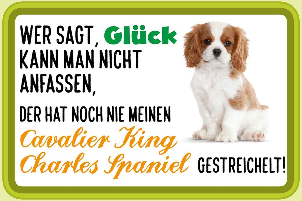 Holzschild 12x18 cm Cavalier King Charles Spaniel Tier Haustier