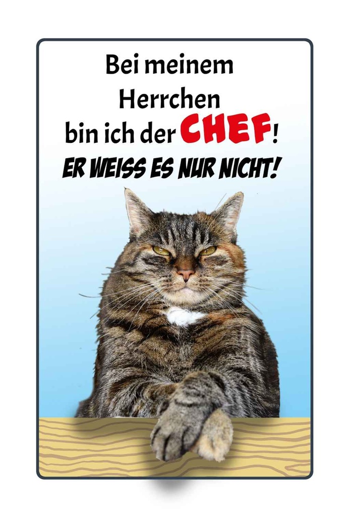 Holzschild 18x12 cm Katze bei meinem Herrchen Chef Tier Haustier