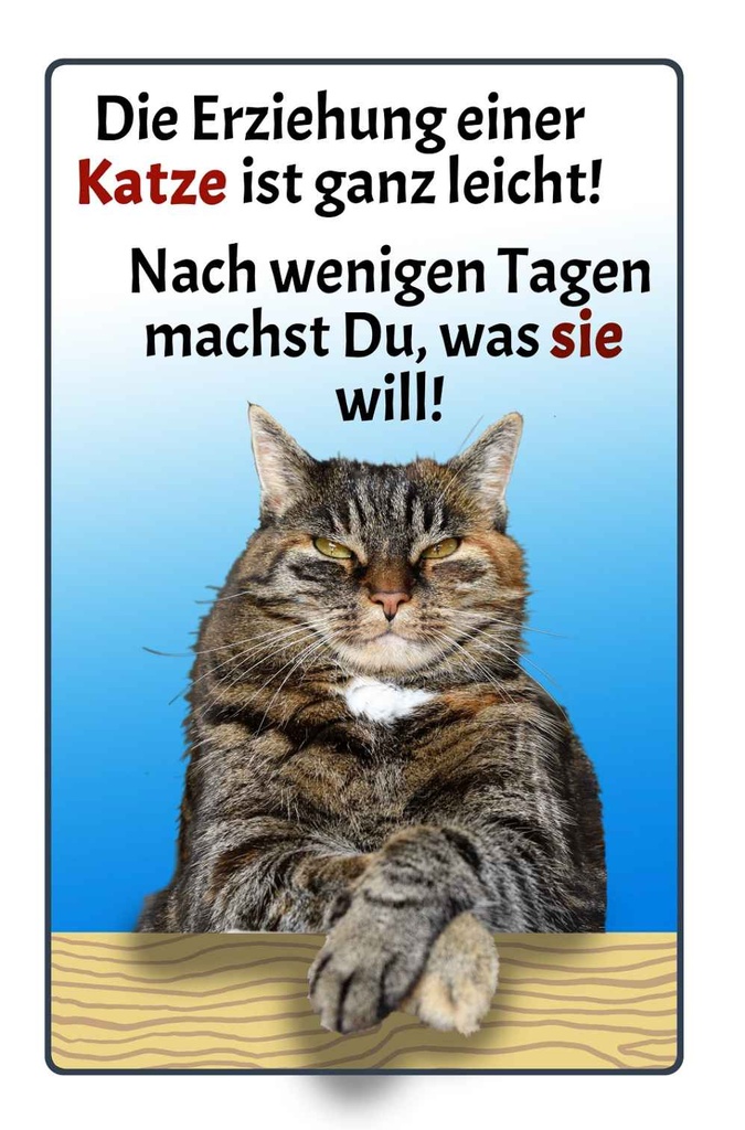 Holzschild 18x12 cm die Erziehung einer Katze leicht Spruch Zitat