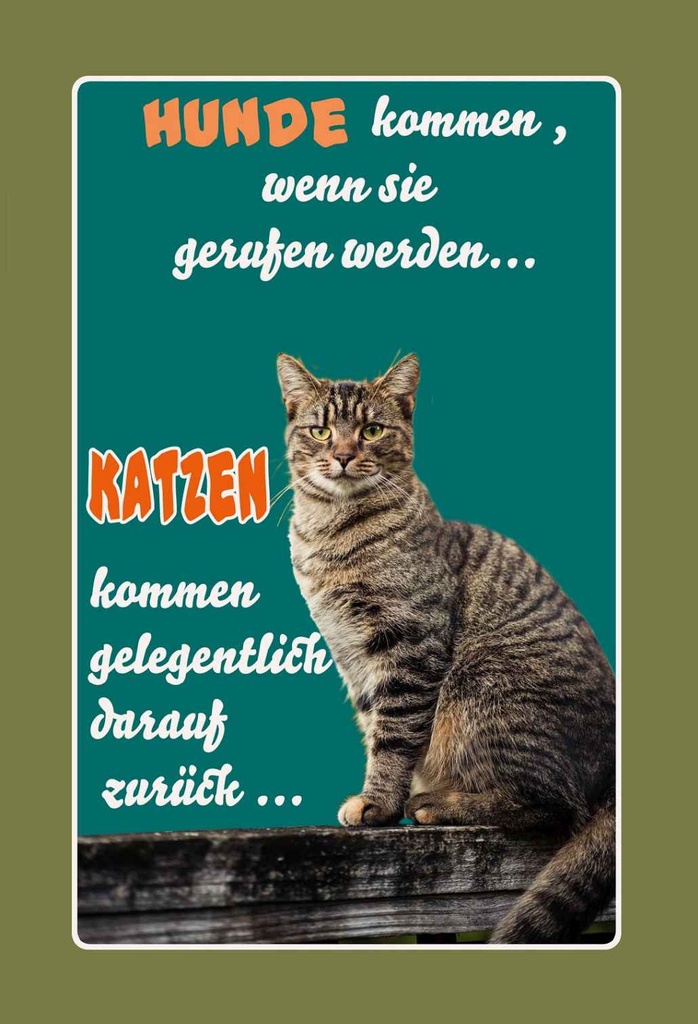 Holzschild 18x12 cm Hunde kommen wenn Katzen Tier Haustier