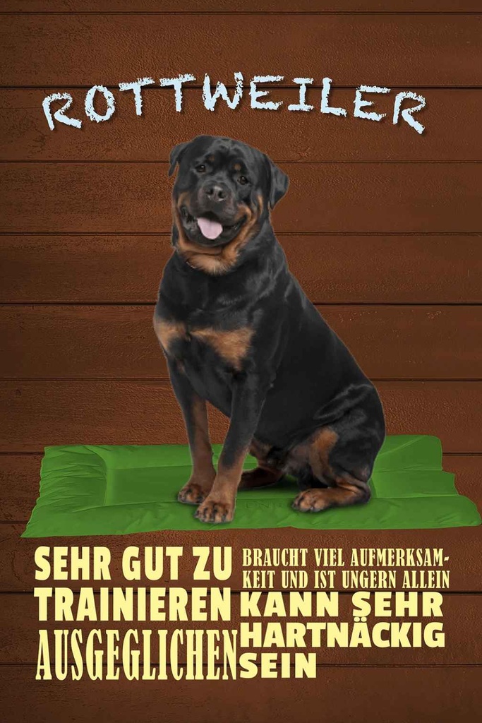 Holzschild 18x12 cm Rottweiler Hund ungern allein Tier Haustier