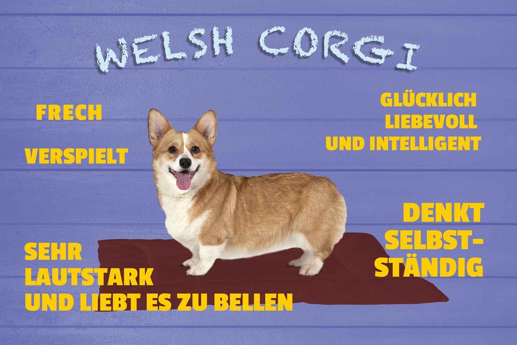 Holzschild 12x18 cm Welsh Corgi Hund frech verspielt Tier Haustier