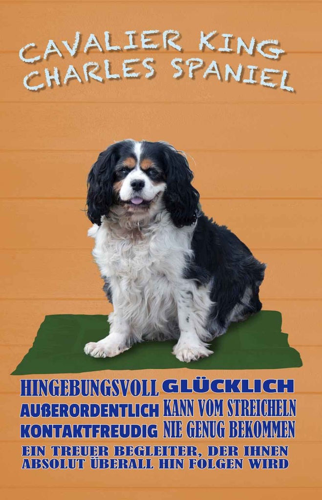 Holzschild 18x12 cm Cavalier King Charles Spaniel Tier Haustier