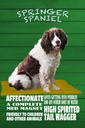 Holzschild 18x12 cm Springer Spaniel Hund friendly Tier Haustier