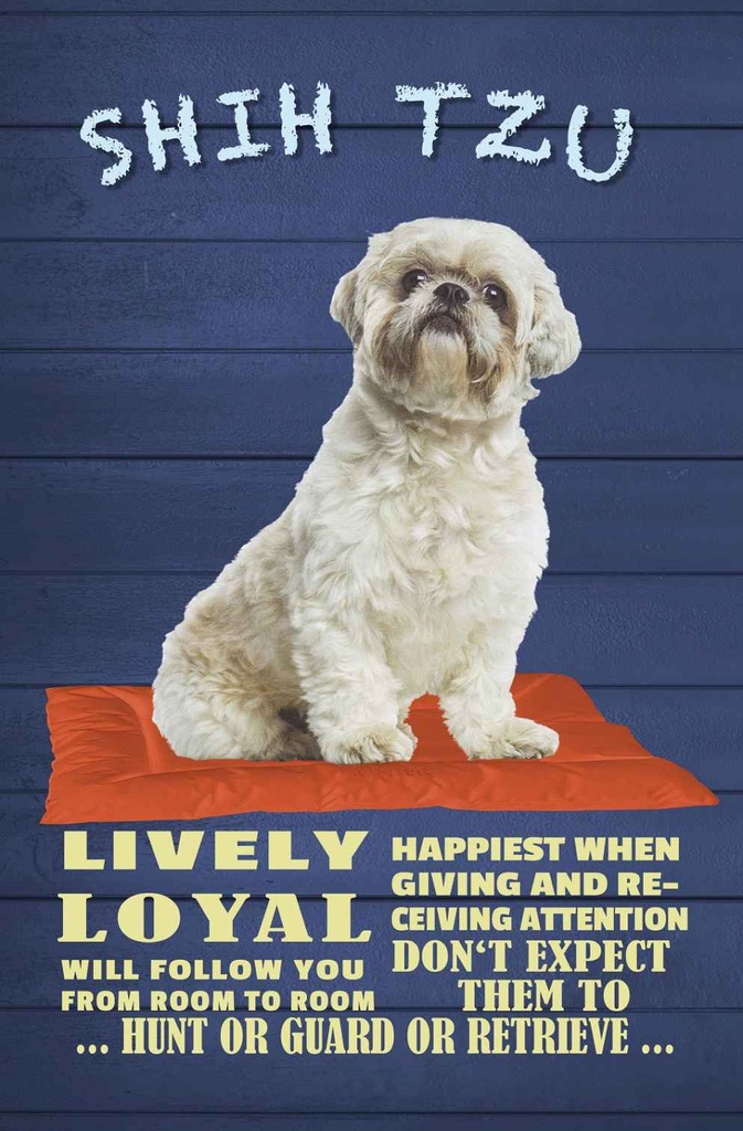 Holzschild 18x12 cm Shih Tzu Hund lively loyal Tier Haustier