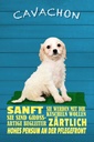Holzschild 18x12 cm Cavachon Hund sanft zärtlich Tier Haustier