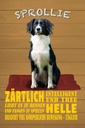 Holzschild 18x12 cm Sprollie Hund zärtlich und treu Tier Haustier