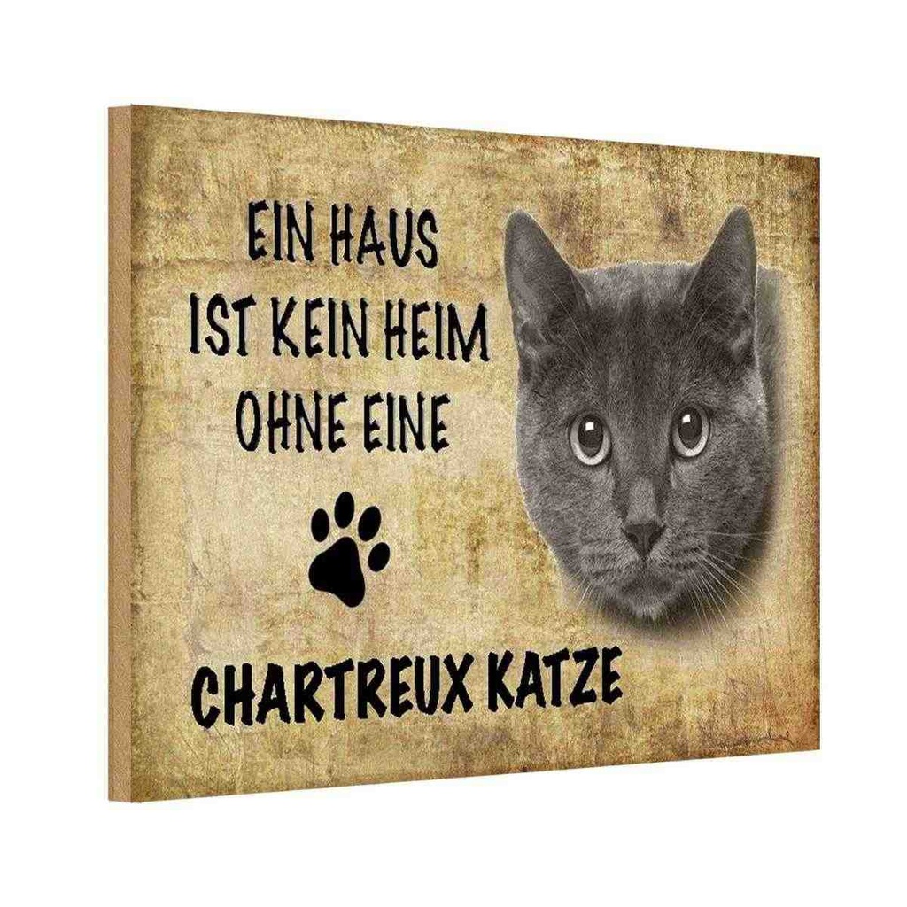 Holzschild 12x18 cm Chartreux Katze Tier Haustier