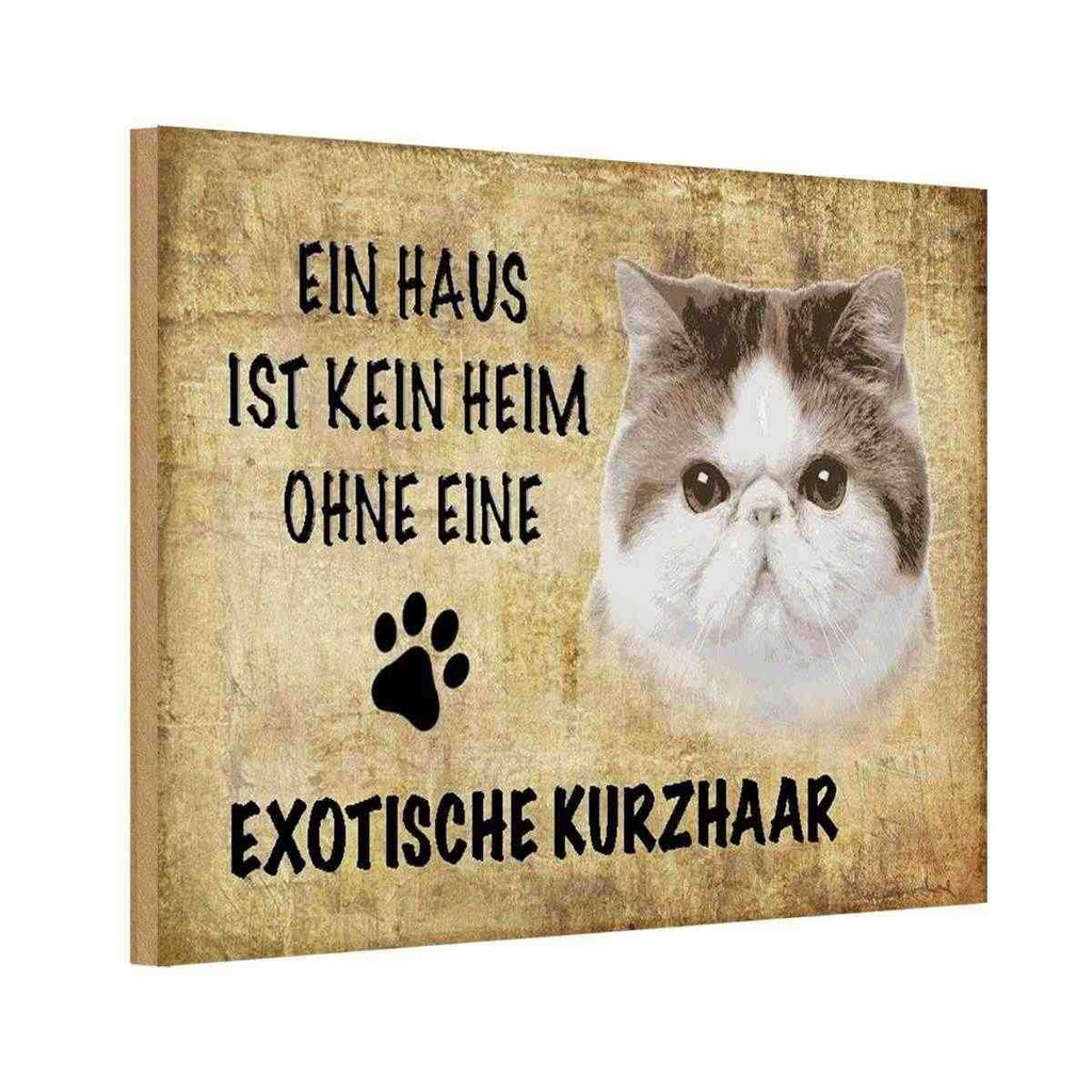 Holzschild 12x18 cm exotische Kurzhaar Katze Tier Haustier