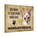 Holzschild 12x18 cm orientalisch Kurzhaar Katze Tier Haustier