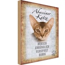 Holzschild 18x12 cm Abyssiner Katze hübsch verspielt