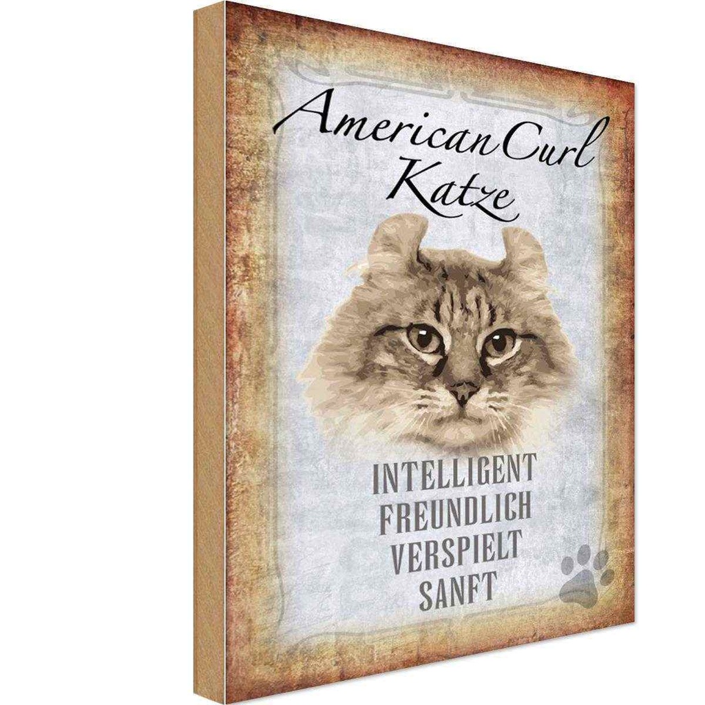 Holzschild 18x12 cm American Curl Katze Tier Haustier