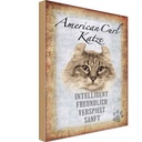 Holzschild 18x12 cm American Curl Katze Tier Haustier