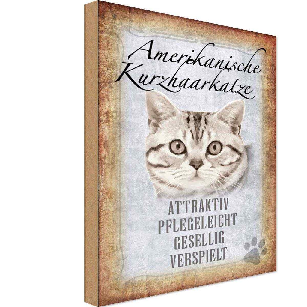 Holzschild 18x12 cm Americanische Katze Kurzhaar Tier Haustier