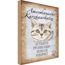Holzschild 18x12 cm Americanische Katze Kurzhaar Tier Haustier