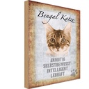 Holzschild 18x12 cm Bengal Katze Tier Haustier